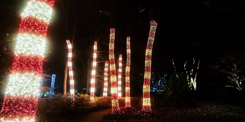 Holiday LIGHTS at Cheekwood in Nashville