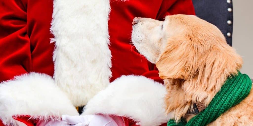 Daytime Dog Visits with Santa at Cheekwood
