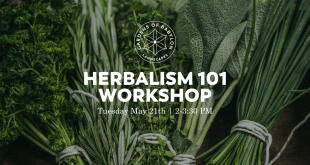 Herbalism Workshop, Gardens of Babylon in Nashville