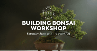 Building Bonsai Workshop, Gardens of Babylon Nashville