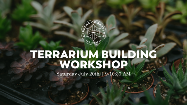 Terrarium Building Workshop, Gardens of Babylon Nashville