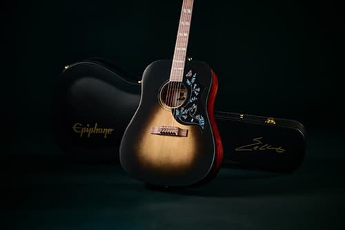 Hummingbird Dark