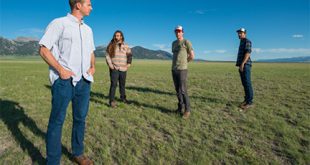 The Kitchen Dwellers