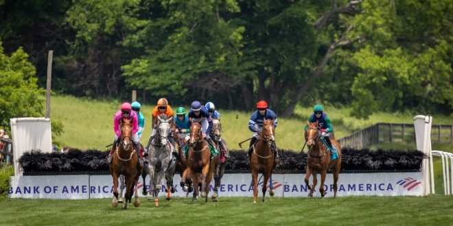 Iroquois Steeplechase 2026, Nashville